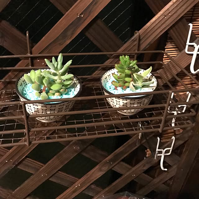 yamafamily_9さんの実例写真