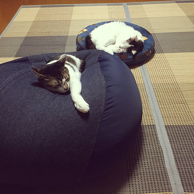 miiko3さんの実例写真