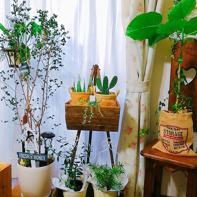hana4504さんの実例写真