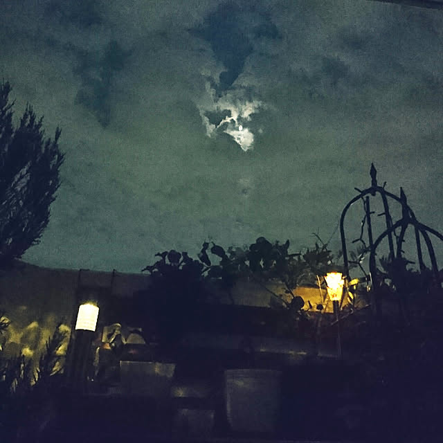 yuuu7712さんの実例写真