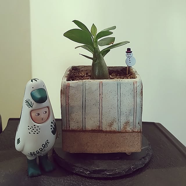 t.yumiさんの部屋