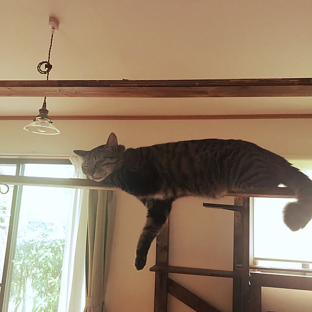 mikan161さんの実例写真