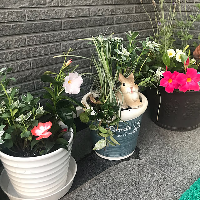 emikoさんの実例写真