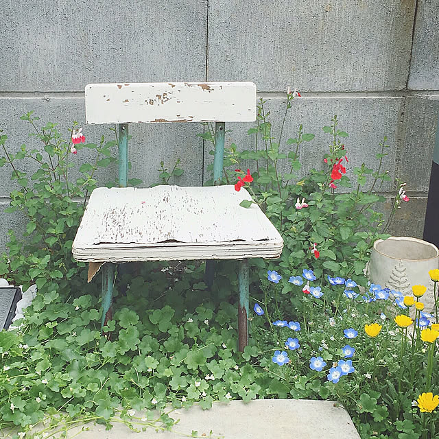akoehonさんの実例写真