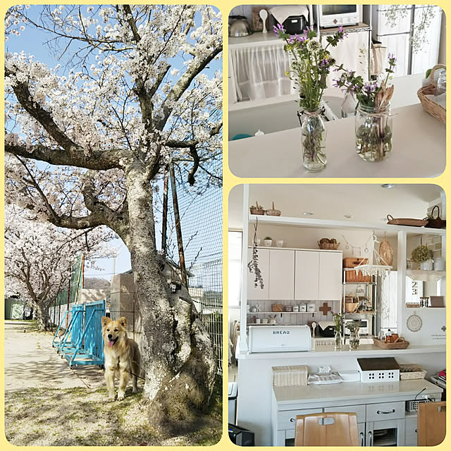 kaoriさんの実例写真