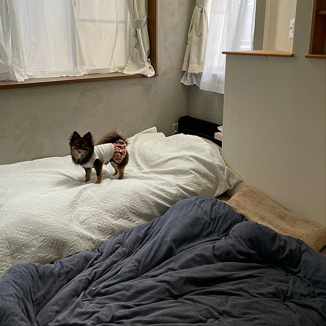 yoko_petitbonheurさんの実例写真