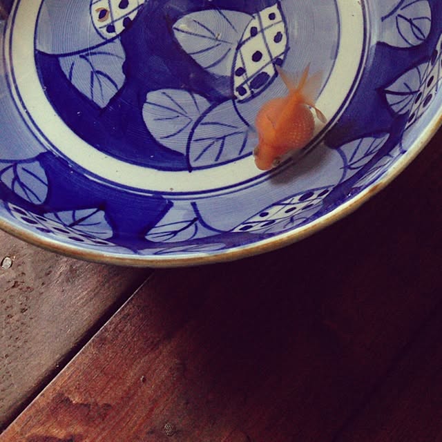kinomiさんの実例写真