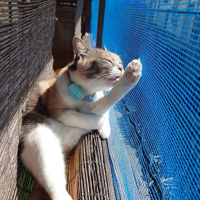 fukuさんの部屋