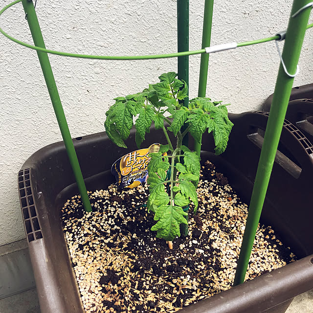 hanachanさんの部屋