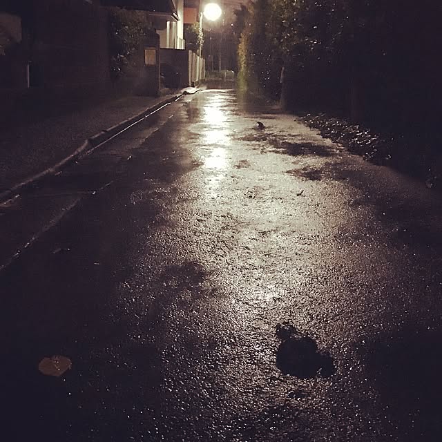 cantiamoさんの実例写真