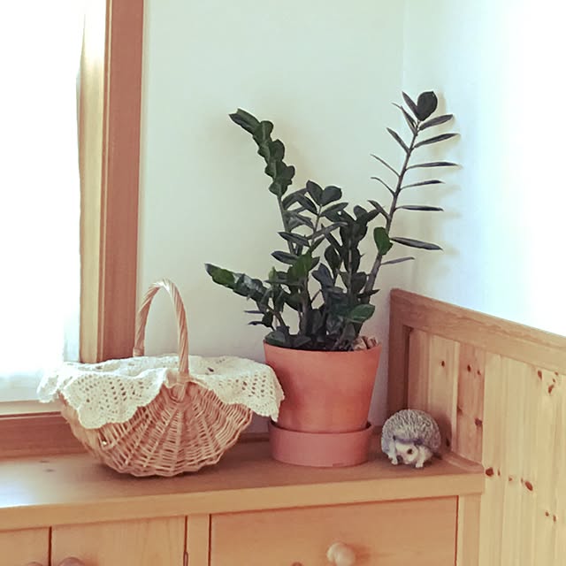 misacoさんの実例写真
