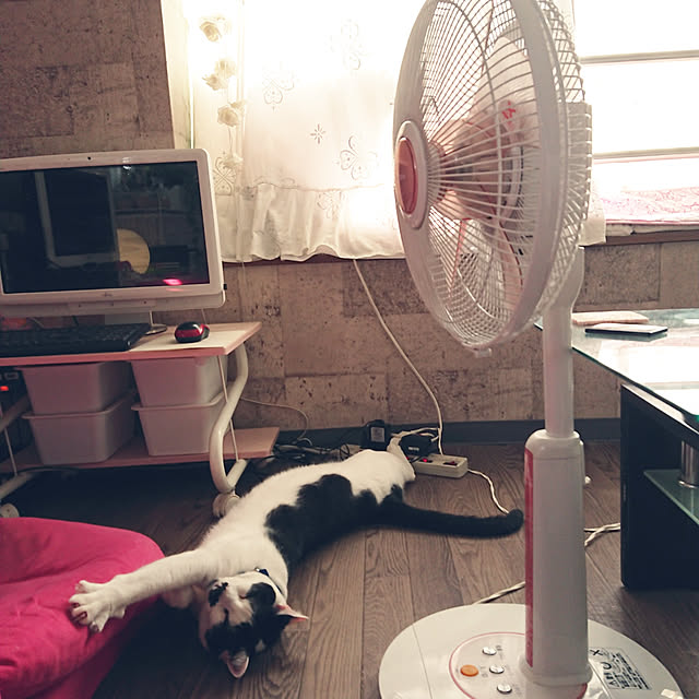 asuminさんの実例写真