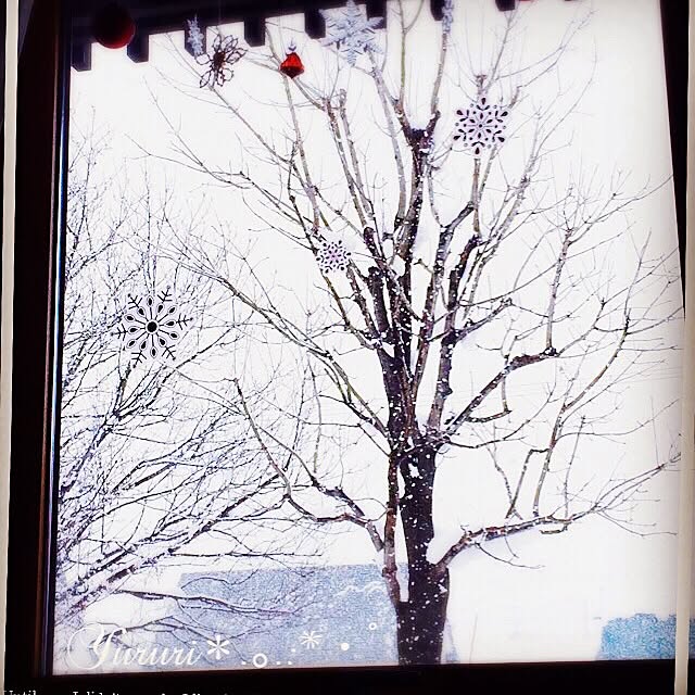 yumikoyururiさんの実例写真