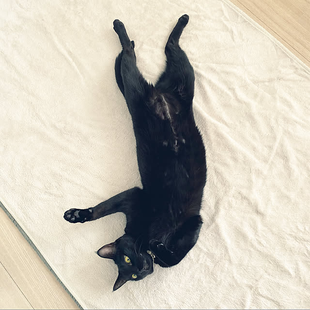 naturalさんの実例写真