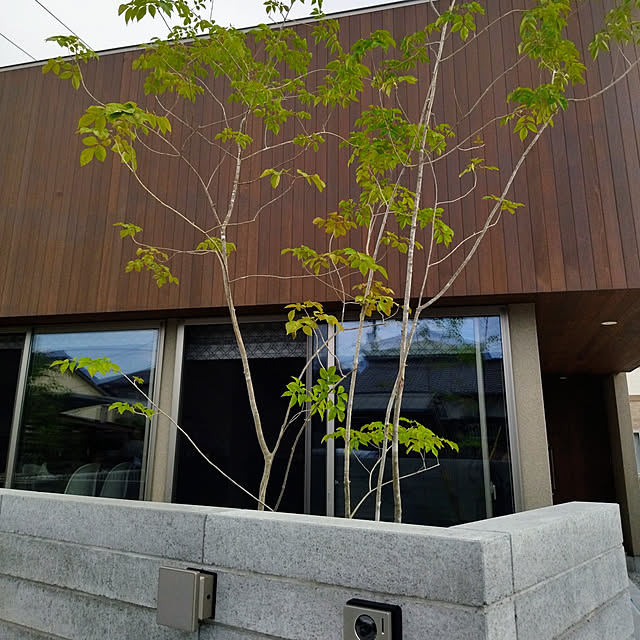 ABA2015さんの実例写真