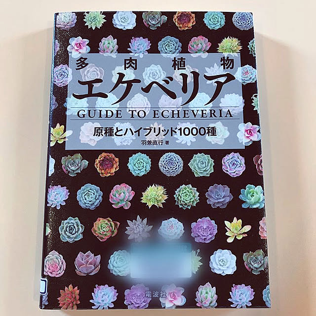 32uuuu.さんの実例写真
