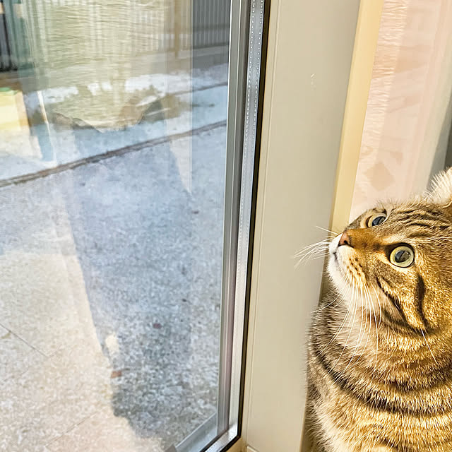 b.bさんの実例写真