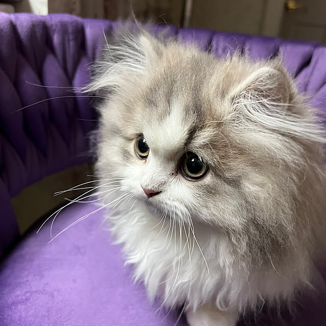 AYUKOさんの部屋