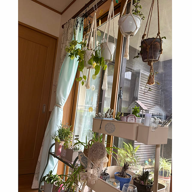 CoCo0617さんの部屋