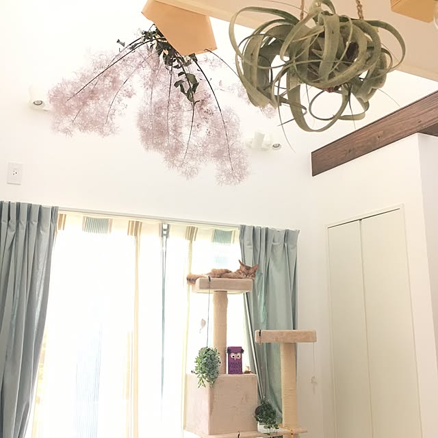 sakineko528さんの実例写真