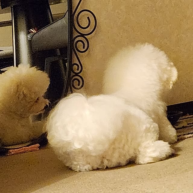 takoさんの実例写真