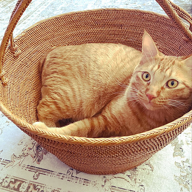 rockeyさんの実例写真