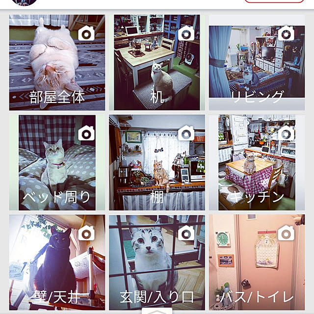 mntcさんの実例写真