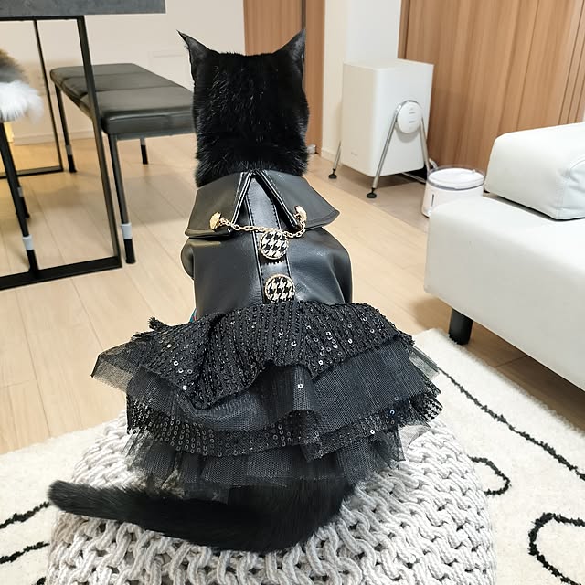 sakuraさんの実例写真