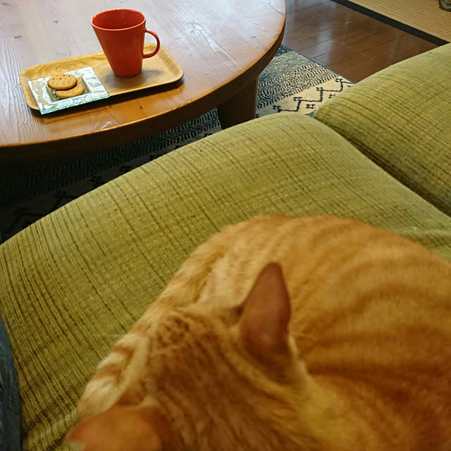 okyosan101さんの実例写真
