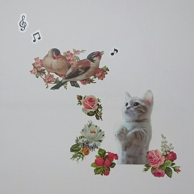 yumichiyさんの実例写真