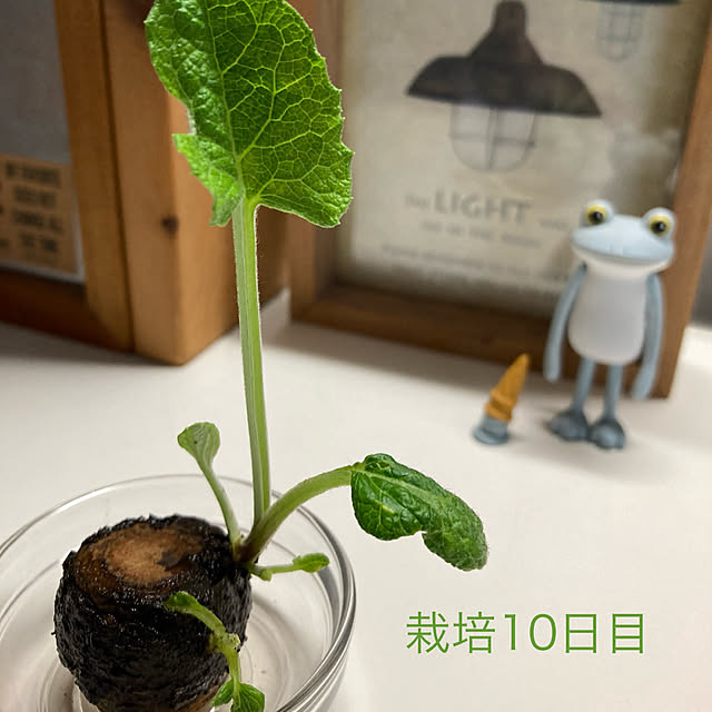 kameさんの部屋
