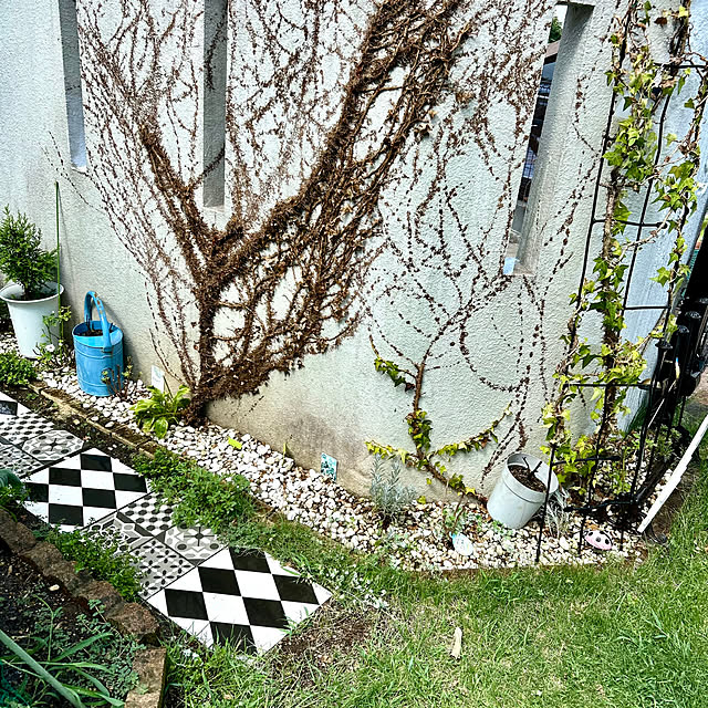 kittyさんの部屋