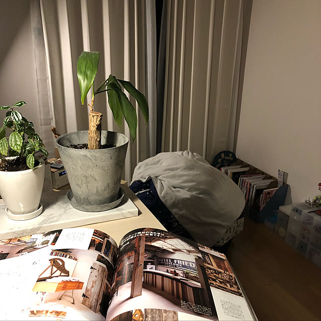 tnさんの実例写真