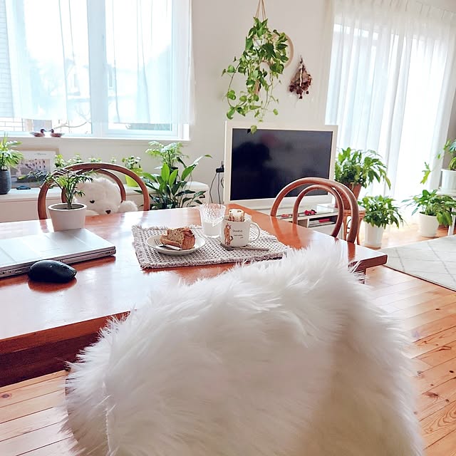 surviveさんの実例写真