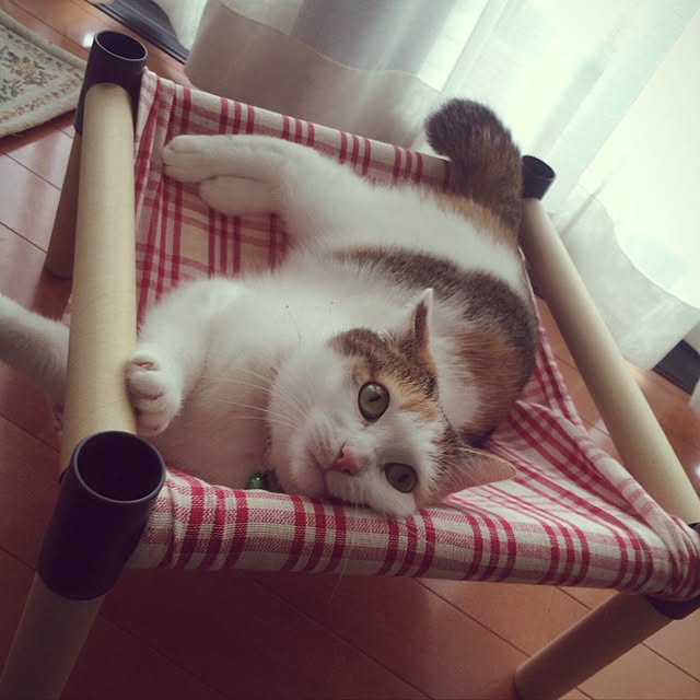 kokomadeさんの実例写真