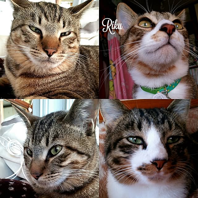 catriene0123さんの実例写真