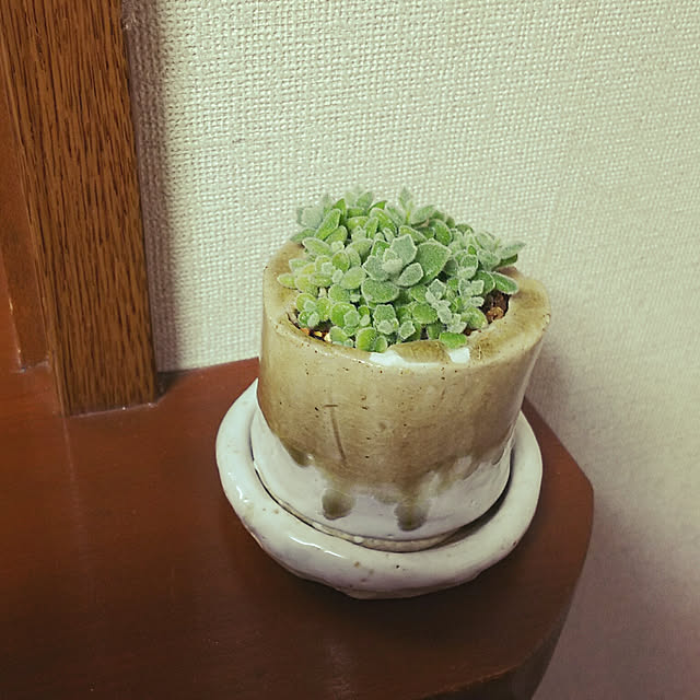 usagi1225さんの実例写真