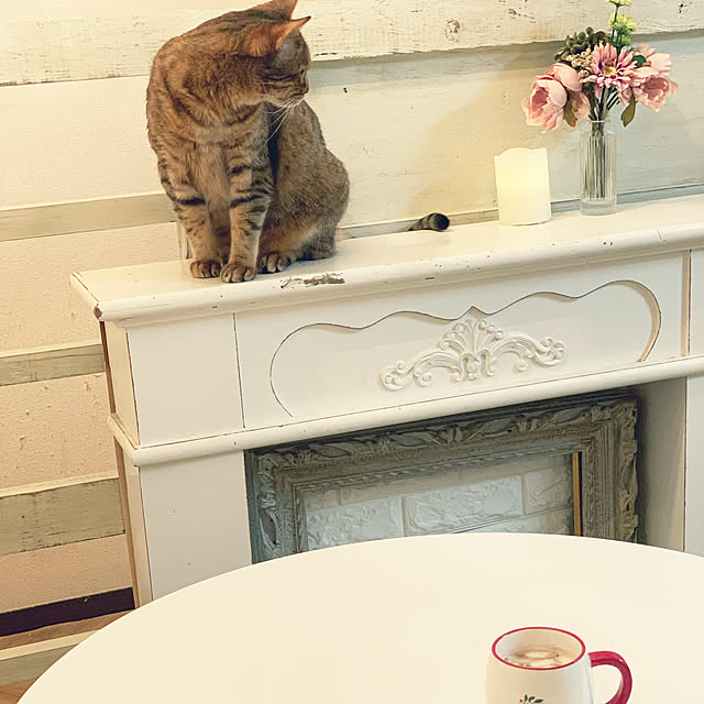 Rabbitさんの実例写真