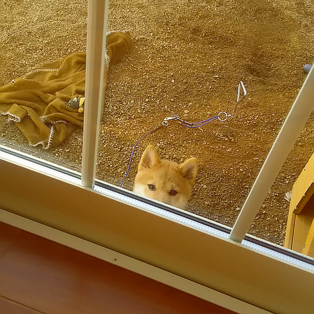 kenkenさんの実例写真