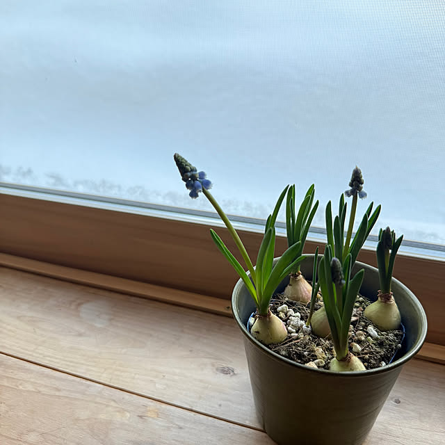 natsuさんの部屋