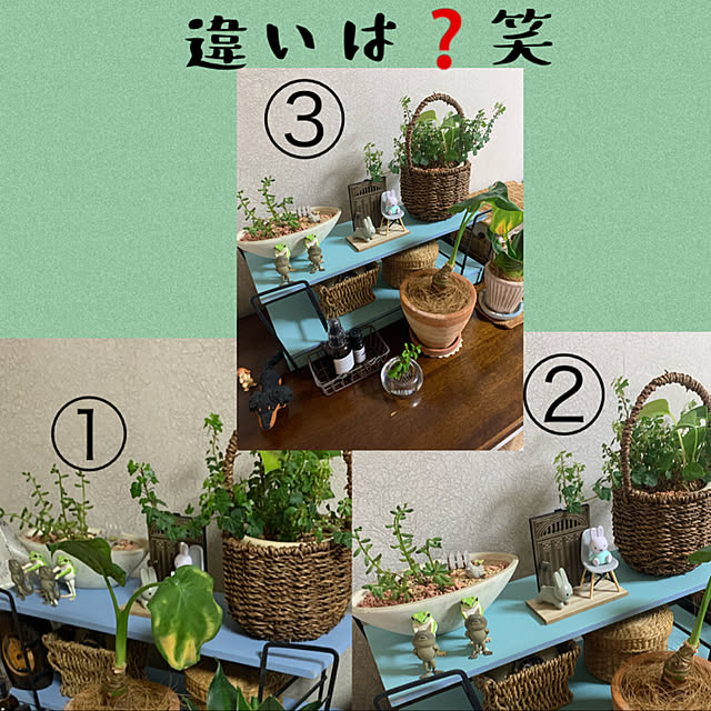 JUNさんの実例写真