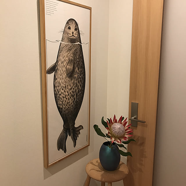 Mochiさんの実例写真
