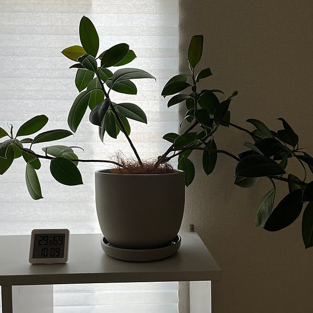 moon.mさんの部屋