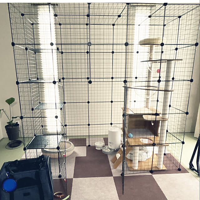 yunyumさんの部屋