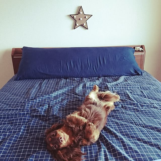 smooch_smoochさんの実例写真