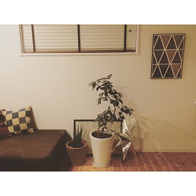Rさんの実例写真