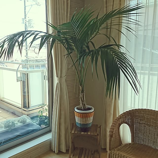 RUIさんの実例写真
