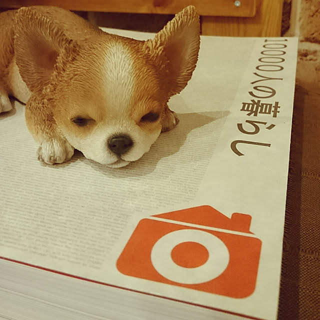anazuさんの実例写真