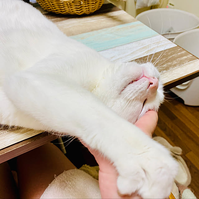 YUKAさんの部屋