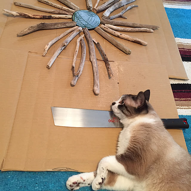 bowbowcoさんの実例写真